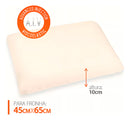Travesseiro Kit Nasa X 2 un Duoflex Altura 10cm Para Fronha 45x65cm Antiácaro Capa Malha 100% algodão