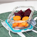 Kit Conjunto 10 Potes Vidro Hermético Marmita Tampa 370ml